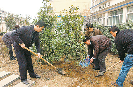 植树