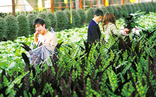 天津滨海国际花卉科技园启建 节能环保亮点多