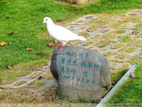 滕头
