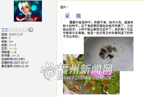 白领爱当蜜蜂四处采集花种　被误认为“采花贼”