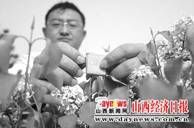 生物导弹 防治花木病虫害