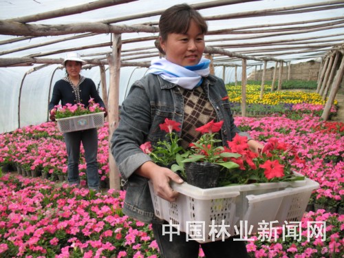 红梅花场职工正在给客户装花