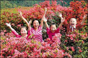 孩子们在野生杜鹃花丛中欢呼