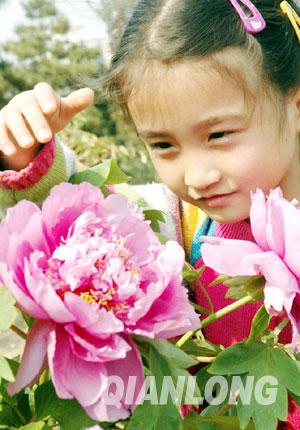 世界花卉大观园五一6万盆盆栽送劳模