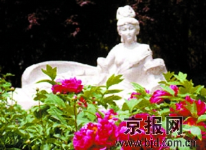 牡丹