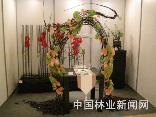 2009西安·浐灞第二届“中国杯”插花花艺大赛综述