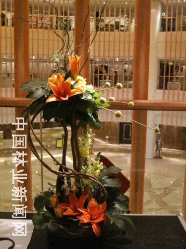 2009西安·浐灞第二届“中国杯”插花花艺大赛综述