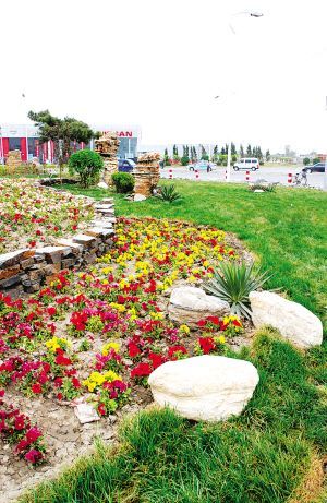 汉沽区新开路新建景观
