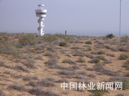 沙生植物园一角