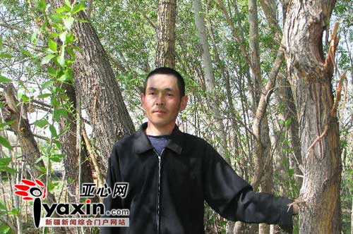 巴合提汗在他种的树林里。