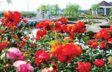 郁金香花展刚刚过 上海鲜花港又迎来一个鲜花盛开的5月