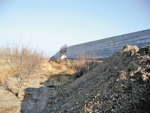 部分果树已经被石料掩埋