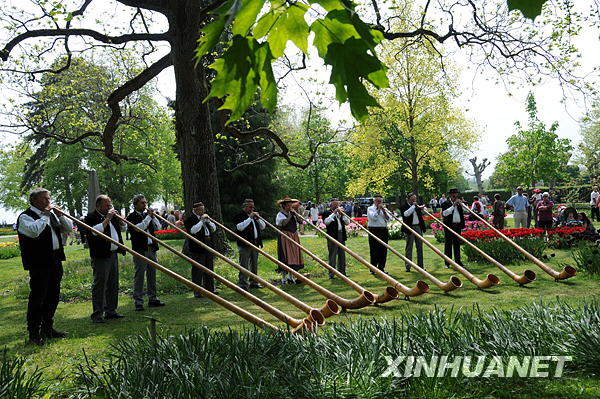  5月3日，游人在瑞士莫尔日举办的郁金香节上欣赏阿尔卑斯长号表演。