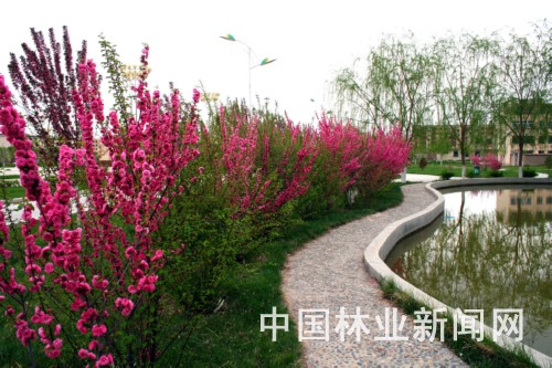 边陲小镇晚春美景如画