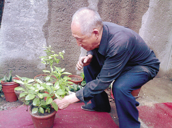 郑大爷和他的“降糖草”