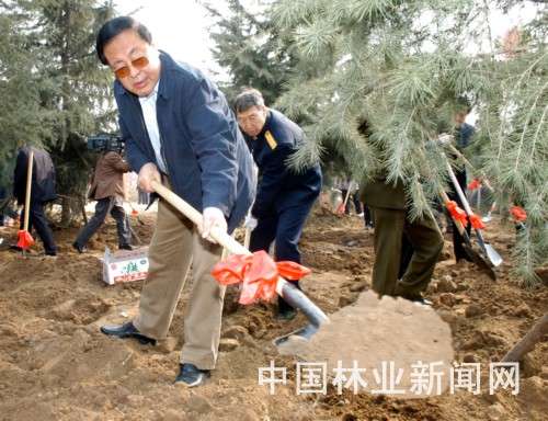 青岛绿化