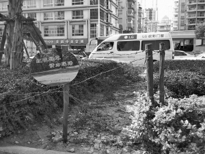 温州：绿化带屡植屡毁 如何标本兼治“打补丁”（图）