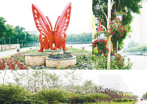 沈阳今年已植树1205万株 是一片摄人心魄的绿 