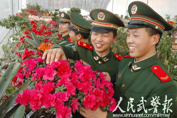 去年冬天，战士们欣赏自己亲手栽种的杜鹃花