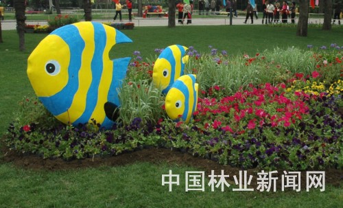 绿城广场上以热带鱼造型为主的景点。
