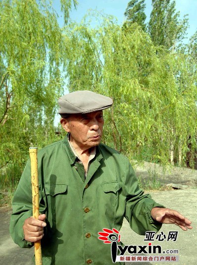 13年来，82岁的林作园和77岁老伴每天主要的事就是干活。