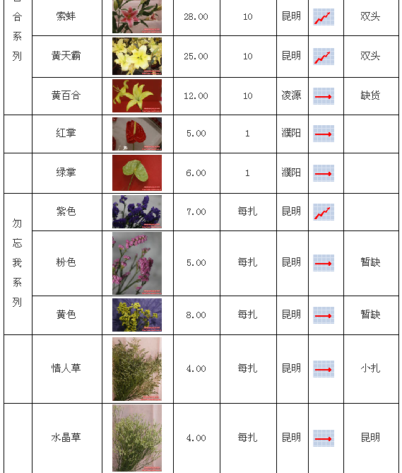 郑州陈砦花卉交易市场2009年6月29日鲜切花报价