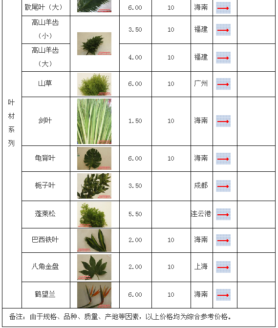 郑州陈砦花卉交易市场2009年6月29日鲜切花报价