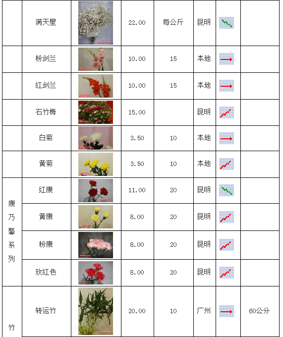 郑州陈砦花卉交易市场2009年6月29日鲜切花报价