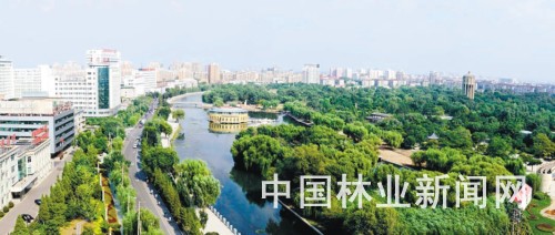 今年沈阳绿化更加多姿多彩 植树1205万株 植花456万株