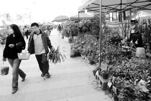市民在花街节上购买鲜花 。