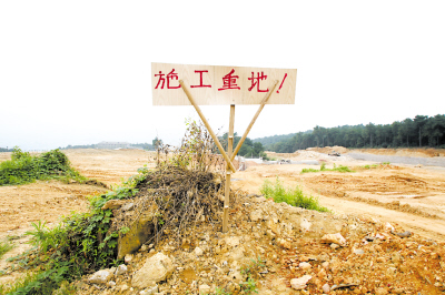 昨日，江北铁山坪，当年花费数十万元补栽的树木已不见踪影 