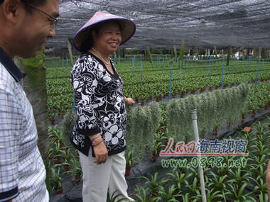 台商魏锦治（女）向参观人员介绍花卉种植情况