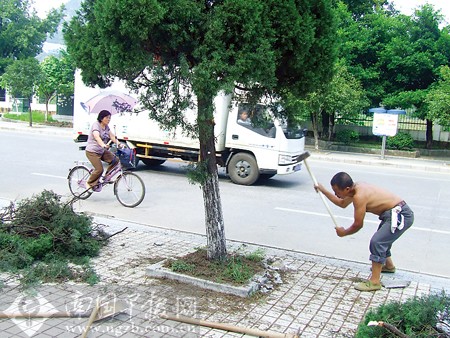 工人图省事砸碎绿化树四周条石 市民称浪费遭呵斥