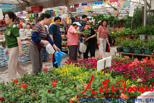 花卉市场上人多起来了