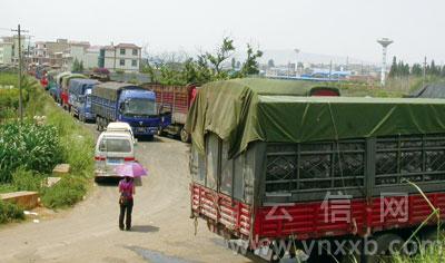 “昆明焦化制气厂”拉煤车堵断路 花农叫苦花凋零 