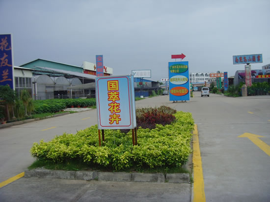 杭州花市