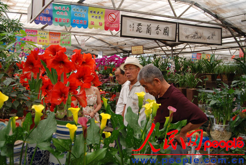 花卉市场见闻(图)