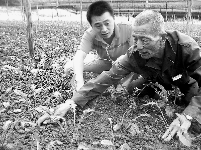 永安:大学生村官打造鲜花产业