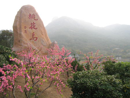 种植薰衣草和大波斯菊 桃花岛打造舟山的“普罗旺斯” 