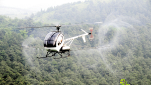 天津蓟县林业部门在北部山区采取飞机喷药除治松梢螟