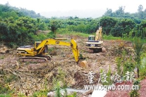 两台挖掘机刚在苗圃里挖了这么一片地，就被村民拦住走不脱了。