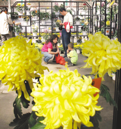 乌鲁木齐：植物园鲜花争相绽放 喜迎国庆六十周年