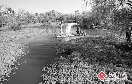 距昆明主城区最近的湿地公园