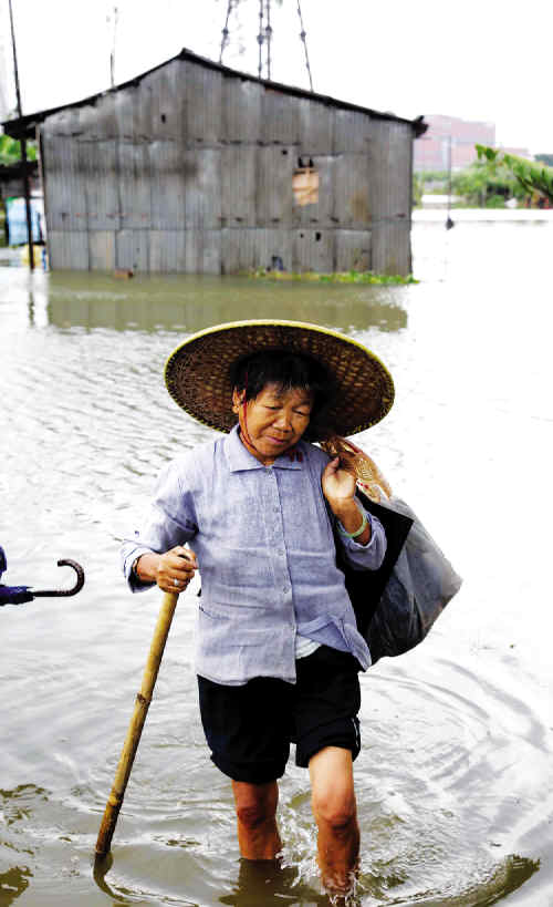 广东：15级狂风肆虐 广州树摇碰线树倒砸房墙水浸街