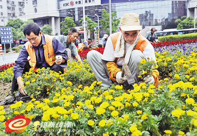 无锡市绿化工人布景迎国庆 盛装花坛五颜六色