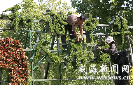 威海：10万盆鲜花装点广场喜迎国庆和第五届国际人居节