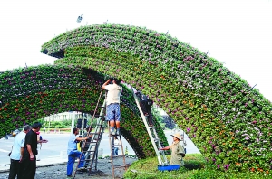 长安街沿线立体花坛开始摆放 突出"普天同庆