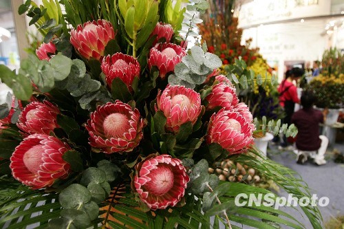 鲜花扮靓第七届中国花博会 庆建国六十周年（图）