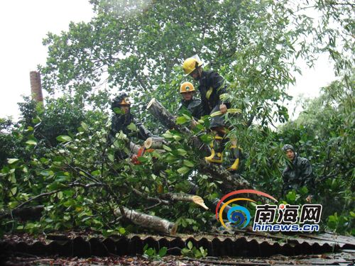 海南：“凯萨娜”影响大树倒民房压 白沙消防紧急除险