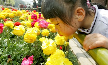 “十一”全市计划布置花坛花境约12万平方米